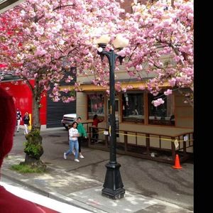 Meet your Posher, Didi edith